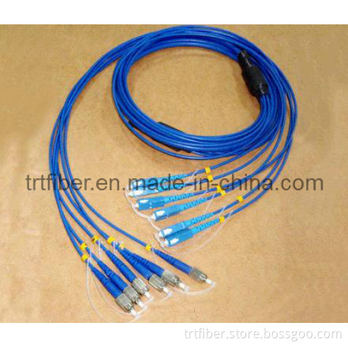 Fiber Optic Patch Cord FC-Sc Singlemode (Fiber jumper)